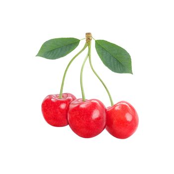 Three sweet cherries together with leaves isolated on white background.