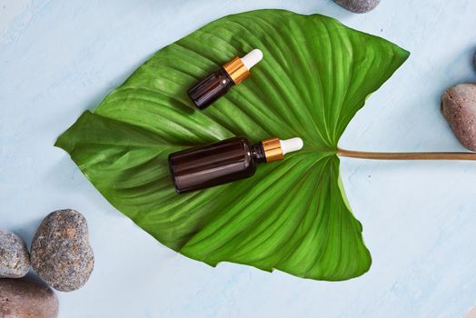 Cosmetic with green leaf on wooden background