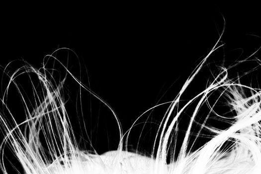 Abstract windy hair texture. Inverse silhouette.