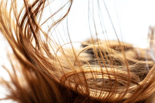 Windy hair. Abstract close up hairs on white background.