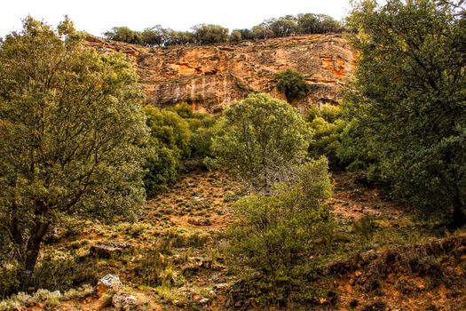 Mountain landscape with green vegetation in spring in Castilla-La Mancha, Spain
