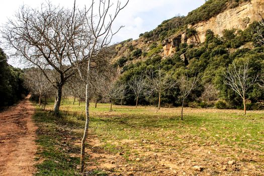 Mountain landscape with green vegetation in spring in Castilla-La Mancha, Spain