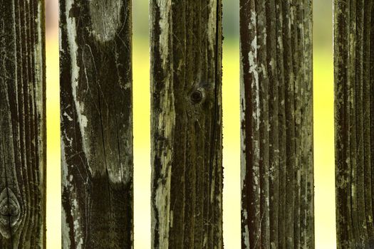 wooden fence with perpendicular columns and yellow background