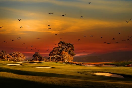 Coastline golf course, greens and bunkers in California, usa