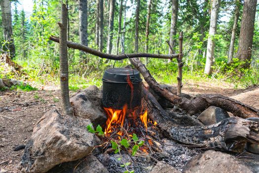 Cooking in a pot over a campfire in the forest during summer hiking in nature