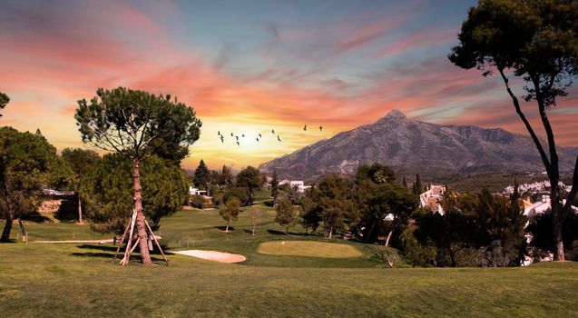 golf course and green  in Marbella, Spain, at sunset