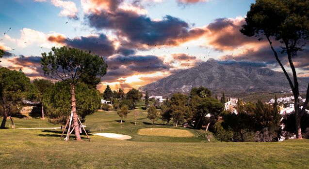 golf course and green  in Marbella, Spain, at sunset