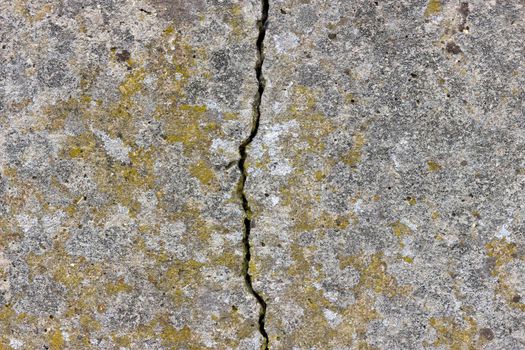 The surface is heavily textured with some yellow and white lichen and a large crack in the middle of the surface.