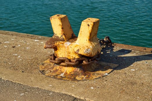 Also known as the staghorn bollard.