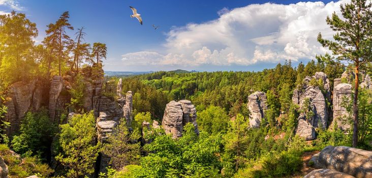 Prachov rocks (Prachovske skaly) in Cesky Raj region, Czech Republic. Sandstone rock formation in vibrant forest. Prachov Rocks, Czech: Prachovske skaly, in Bohemian Paradise, Czech Republic.