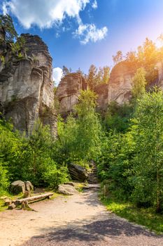 Prachov rocks (Prachovske skaly) in Cesky Raj region, Czech Republic. Sandstone rock formation in vibrant forest. Prachov Rocks, Czech: Prachovske skaly, in Bohemian Paradise, Czech Republic.