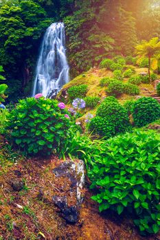 Waterfall at  Parque Natural Da Ribeira Dos Caldeiroes, Sao Miguel, Azores, Portugal. Beautiful waterfall surrounded with hydrangeas in Ribeira dos Caldeiroes park, Sao Miguel, Azores, Portugal