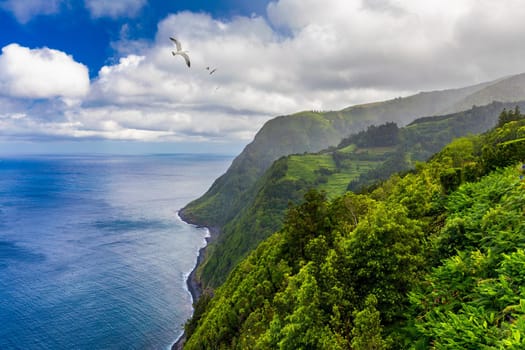 Azores panoramic view of natural landscape, wonderful scenic island of Portugal. Beautiful lagoons in volcanic craters and green fields. Tourist attraction and travel destination. Azores, Portugal.