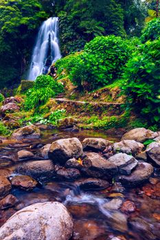 Waterfall at  Parque Natural Da Ribeira Dos Caldeiroes, Sao Miguel, Azores, Portugal. Beautiful waterfall surrounded with hydrangeas in Ribeira dos Caldeiroes park, Sao Miguel, Azores, Portugal