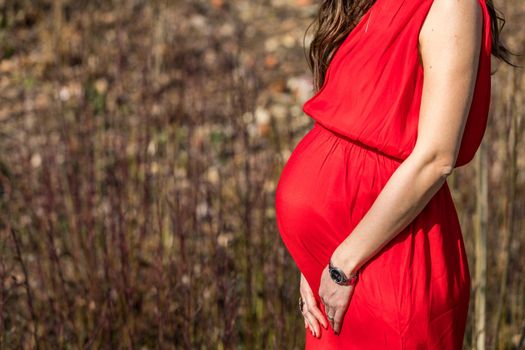 Beautiful pregnant woman feeling happy in nature while taking care of her child. Young expecting mother holding baby in pregnant belly. Maternity prenatal care and woman pregnancy concept.