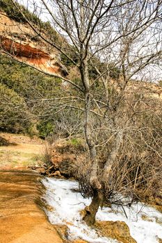 The Cabriel River with crystal clear waters and surrounded by green vegetation in the mountains of Albacete, Spain