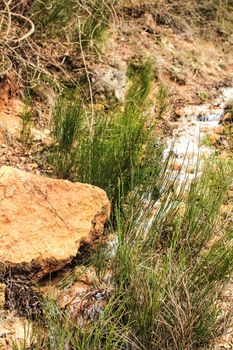 Creek between vegetation in the mountain in Spain