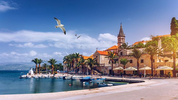 Splitska village with beautiful port and seagull's flying over the village, Brac island, Croatia. Fishing boats in Splitska village on Brac island seafront view, Dalmatia, Croatia, Croatia.