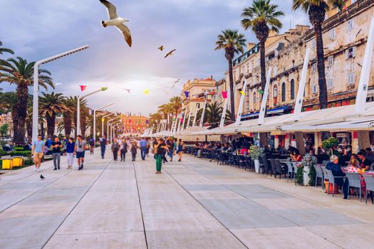Split, Croatia (region of Dalmatia). UNESCO World Heritage Site. View of Split city with flying seagull's over promenade. Split panoramic view of town, Dalmatia, Croatia.