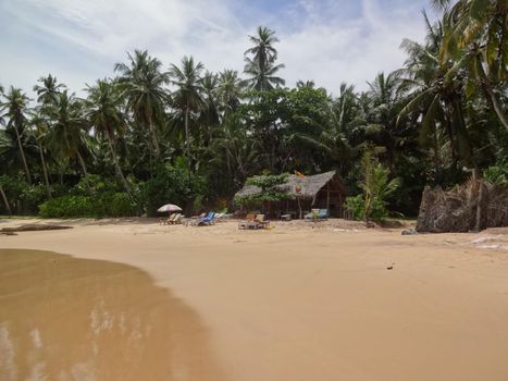Golden beach near the city of Mirissa, Sri Lanka.