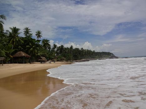 Golden beach near the city of Mirissa, Sri Lanka.