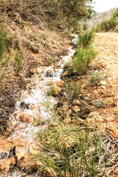 Creek between vegetation in the mountain in Spain