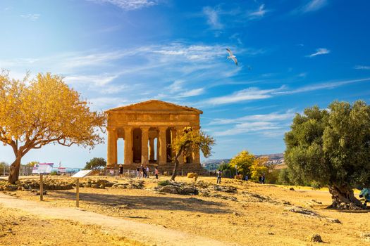 Valley of the Temples (Valle dei Templi), The Temple of Concordia, an ancient Greek Temple built in the 5th century BC, Agrigento, Sicily. Temple of Concordia, Agrigento, Sicily, Italy