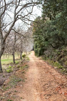 Mountain landscape and path between with green vegetation in spring in Castilla la Mancha, Spain