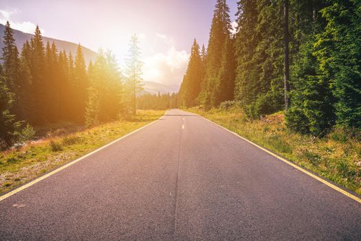 Empty asphalt road with cloudy sky and sunlight in mountains and forest. Transalpina landscape, Romania.