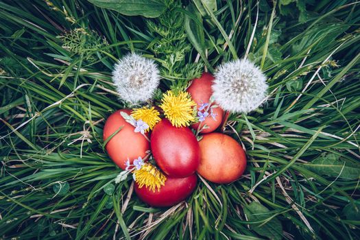 Red easter eggs on the grass with flowers and blowballs, naturally colored easter eggs with onion husks. Happy Easter, Christian religious holiday.
