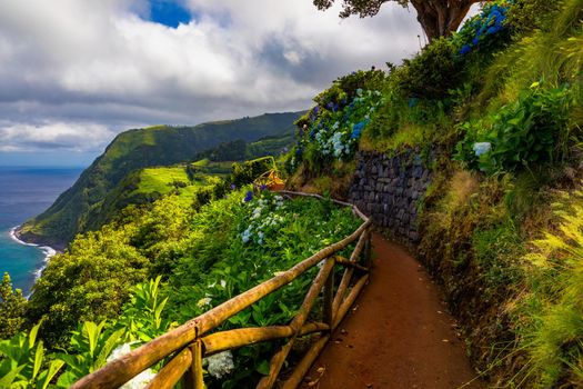 Viewpoint Ponta do Sossego, Sao Miguel Island, Azores, Portugal. View of flowers on a mountain and the ocean in Miradouro da Ponta do Sossego Nordeste, Sao Miguel, Azores, Portugal. 