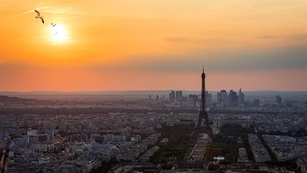 View of Paris with Eiffel Tower from Montparnasse building. Eiffel tower view with flying birds from Montparnasse at sunset, view of the Eiffel Tower and La Defense district in Paris, France.