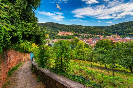 Landmark and beautiful Heidelberg town with Neckar river, Germany. Heidelberg town with the famous Karl Theodor old bridge and Heidelberg castle, Heidelberg, Germany. 