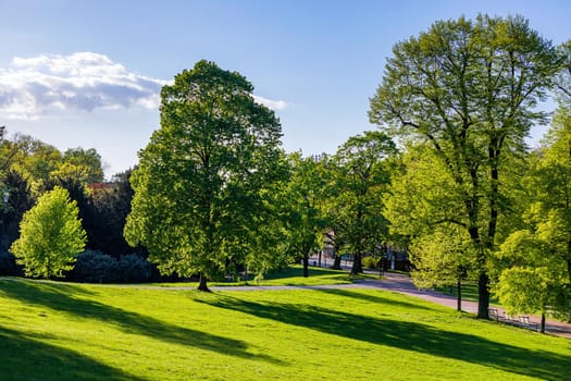 Spring view in Letna Park, Prague, Czech Republic. Spring in Prague (Praha), beautiful Letna park (Letenske sady) in sunlight, sunny landscape, popular tourist destination, Prague, Czech Republic