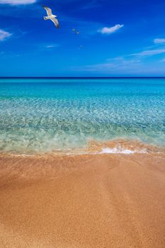 Yellow warm sand and summer sea with sky and free space. Sea, Sand, Sky and summer day. Beach and sea on a summer day, travel concept, vacation and relaxation. Summer sand beach and sea background.
