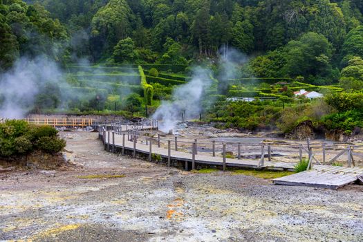 Hotsprings Of The Lake Furnas. Sao Miguel, Azores. Lagoa das Furnas Hotsprings. São Miguel, Azores, Portugal. Steam venting at Lagoa das Furnas hotsprings on Sao Miguel island in the Azores, Portugal.