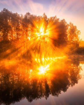 Golden misty sunrise on the pond in the autumn morning. Trees with rays of the sun cutting through the branches, reflected in the water.