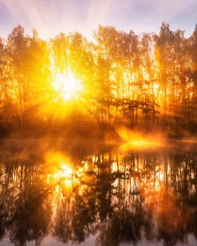 Golden misty sunrise on the pond in the autumn morning. Trees with rays of the sun cutting through the branches, reflected in the water.