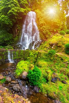 Waterfall at  Parque Natural Da Ribeira Dos Caldeiroes, Sao Miguel, Azores, Portugal. Beautiful waterfall surrounded with hydrangeas in Ribeira dos Caldeiroes park, Sao Miguel, Azores, Portugal