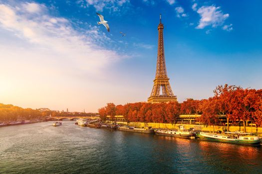 Eiffel tower in autumn foliage. Eiffel Tower with autumn leaves in Paris, France. Seine in Paris with Eiffel tower in autumn time. Paris with Eiffel tower in autumn time. Paris, France.