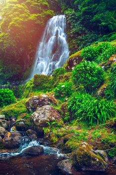 Waterfall at  Parque Natural Da Ribeira Dos Caldeiroes, Sao Miguel, Azores, Portugal. Beautiful waterfall surrounded with hydrangeas in Ribeira dos Caldeiroes park, Sao Miguel, Azores, Portugal