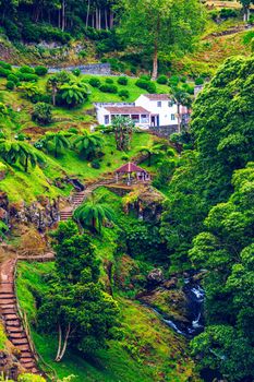 Waterfall at  Parque Natural Da Ribeira Dos Caldeiroes, Sao Miguel, Azores, Portugal. Beautiful waterfall surrounded with hydrangeas in Ribeira dos Caldeiroes park, Sao Miguel, Azores, Portugal