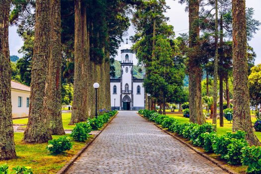 Church of Sao Nicolau (Saint Nicolas) with an alley of tall trees and hydrangea flowers in Sete cidades on Sao Miguel island, Azores, Portugal. Parish Church of St. Nicholas, Sete Cidades, Azores.