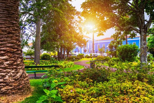 Beautiful Jardim Sena Freita, located in the historic center of Ponta Delgada city on Sao Miguel island. Azores, Sao Miguel, Portugal.