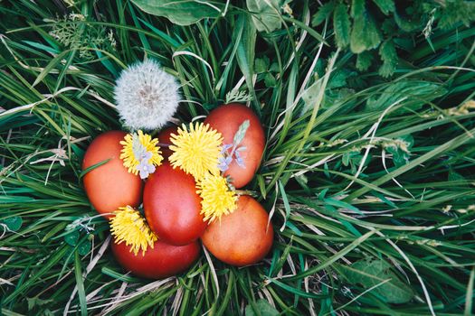 Red easter eggs on the grass with flowers and blowballs, naturally colored easter eggs with onion husks. Happy Easter, Christian religious holiday.