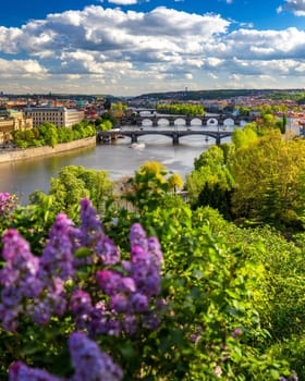 Scenic view of the Old Town pier architecture and Charles Bridge over Vltava river in Prague, Czech Republic. Prague iconic Charles Bridge (Karluv Most) and Old Town Bridge Tower at sunset, Czechia.