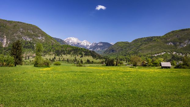 Colorful summer on the Stara Fuzina village in Triglav national park Slovenia, Julian Alps, Europe.