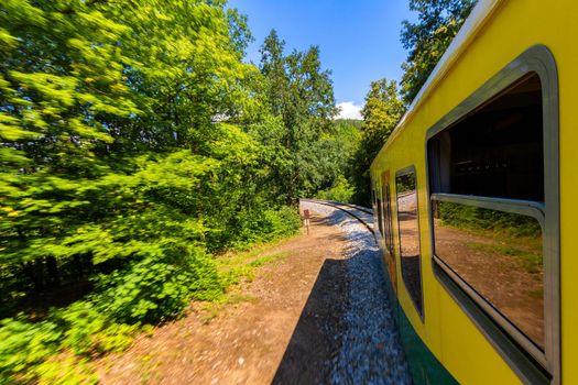 Train ride, view from a window. Old train passing green vegetation. View from the window. Traveling by train to sunset. Sunset scenery and a train gilded by sun, view from a train window. Czechia.