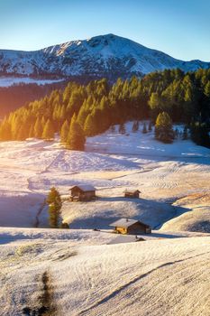 Small wooden farm house, cottage or log cabins on meadow on Alpe di Siusi, Seiser Alm. Alpe di Siusi or Seiser Alm with Sassolungo, Langkofel mountain group, Dolomite Alps, South Tyrol, Italy.