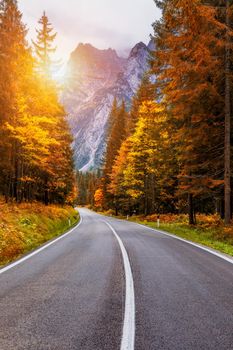 View of winding road. Asphalt roads in the Italian Alps in South Tyrol, during autumn season. Autumn scene with curved road and yellow larches from both sides in alp forest. Dolomite Alps. Italy